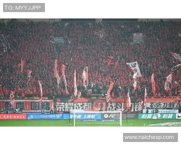 上海乒乓球队战术引发热议球迷与专家观点交锋激烈